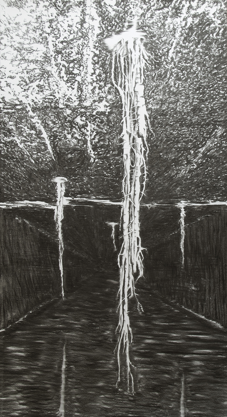 2020 Beginning of Forest 203x1125 charcoal on paper